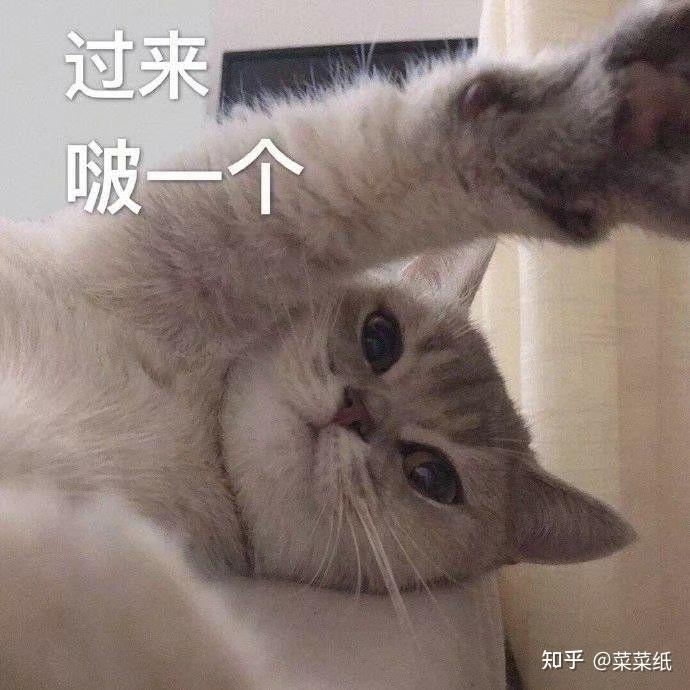 七夕节给女朋友发什么表情包