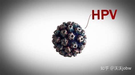 别小看男人,男人身上会自产hpv,导致你hpv高危阳性