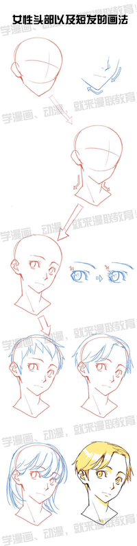 【分享】漫画头部,五官,头发