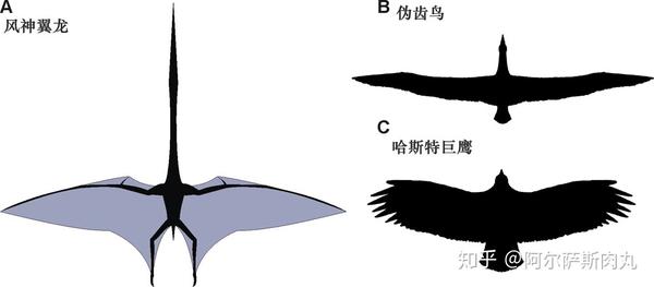 远古小剧场"巨翼当空"