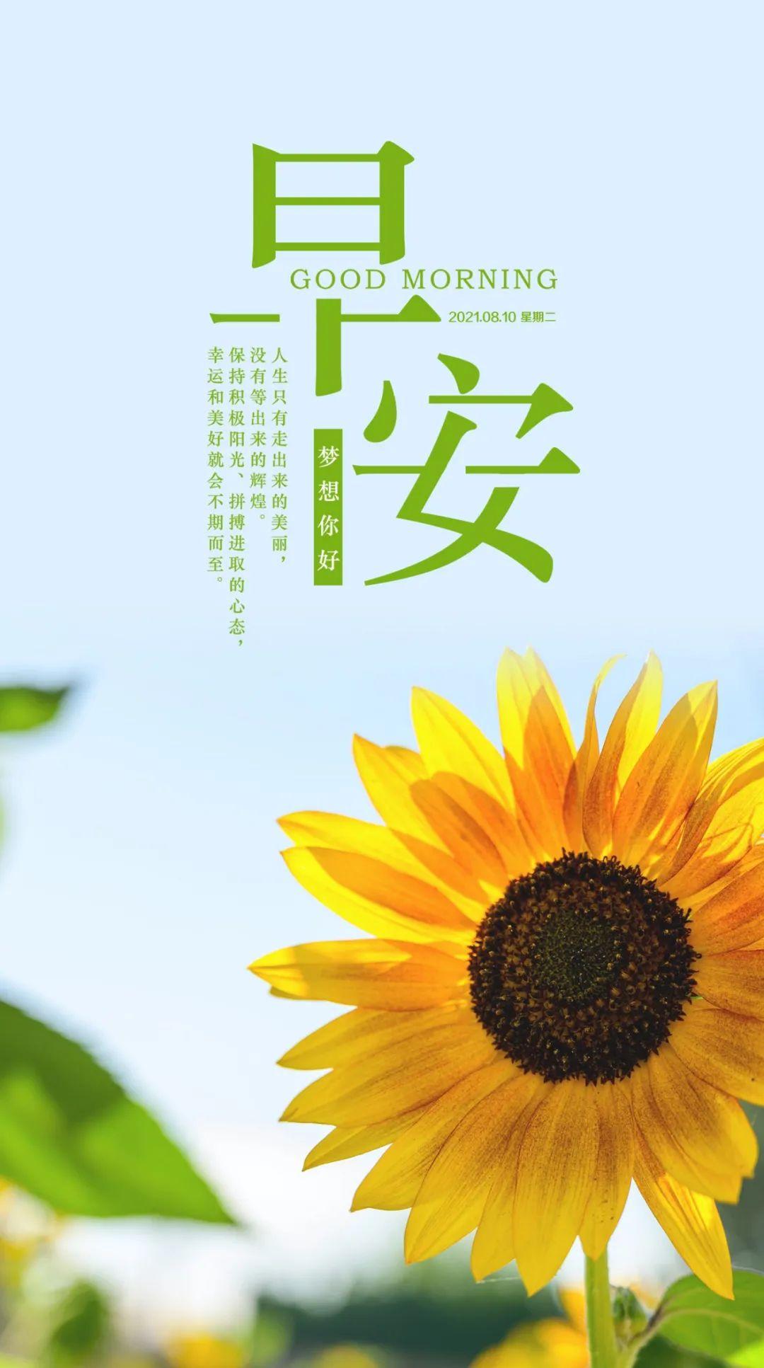 8月10日早安心语正能量阳光语录说说清晨发朋友圈的好看早安图片正