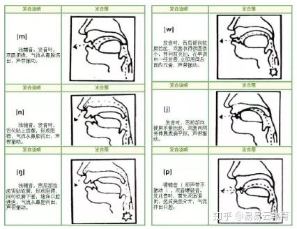 没有口型示范,孩子能学到好的英语发音吗?