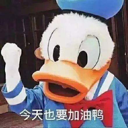 好啦好啦 最后无论怎样还是要加油啊