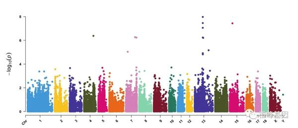 DNA 12 SCI 文章绘图之全基因组关联分析可视化 GWAS 知乎