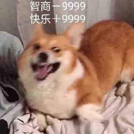 有没有最近很火的内卷段子文案