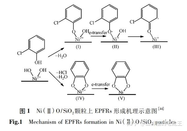 环境持久性自由基environmentalpersistentfreeradicalsepfrs