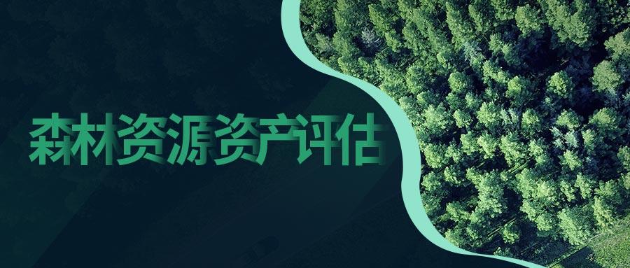 森林资源资产评估