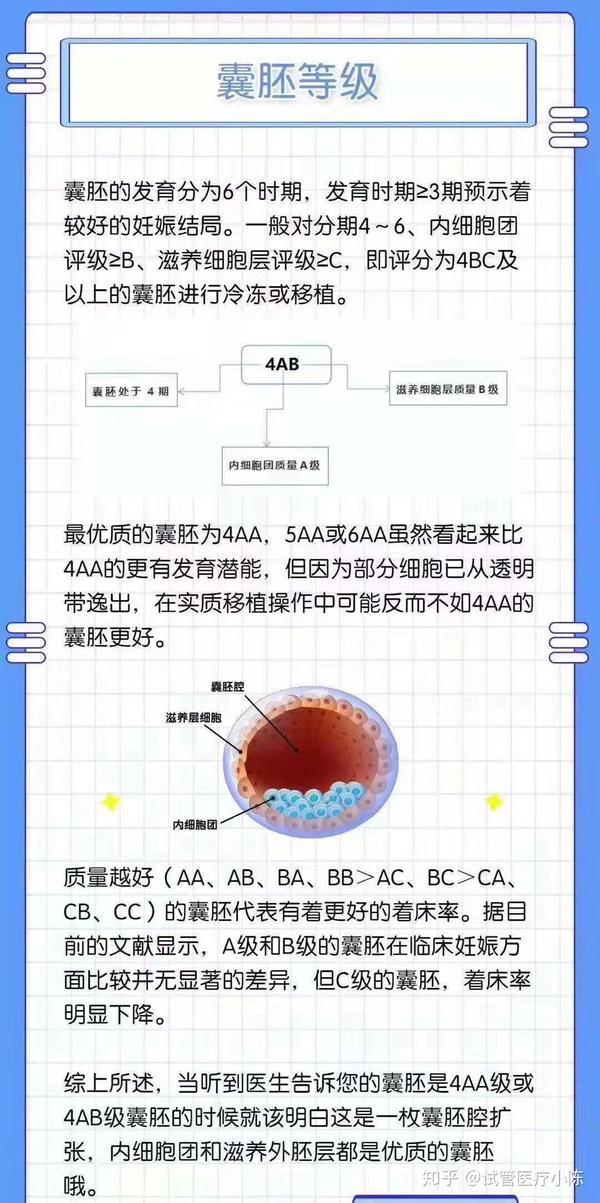 讲一下试管婴儿胚胎质量等级
