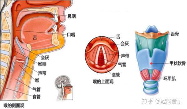 如何通过科学的发声方法解决声带小结