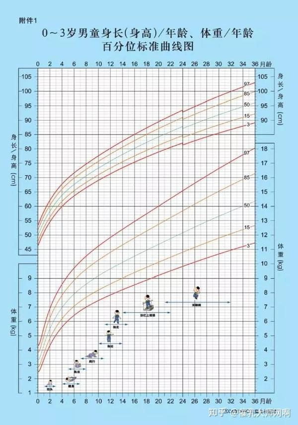 宝宝的生长曲线图,大家可以对比一下