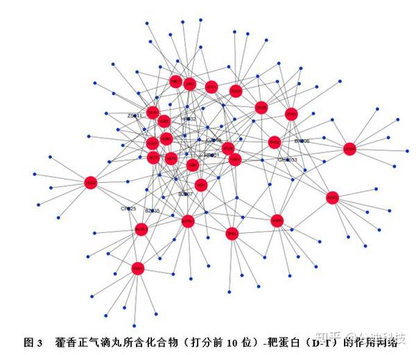 藿香正气滴丸治疗功能性消化不良的网络药理学研究:基于分子对接和