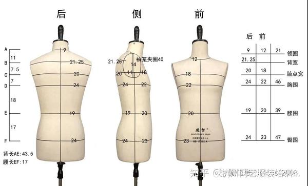 5  4 ,5  2 号型系列 男子服装号型各系列控制部位数值 女子人体尺寸