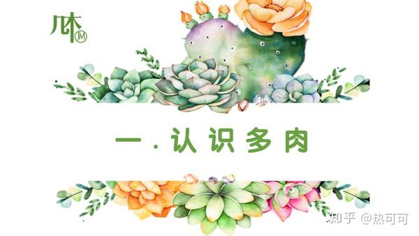 多肉趣味diy文案示例