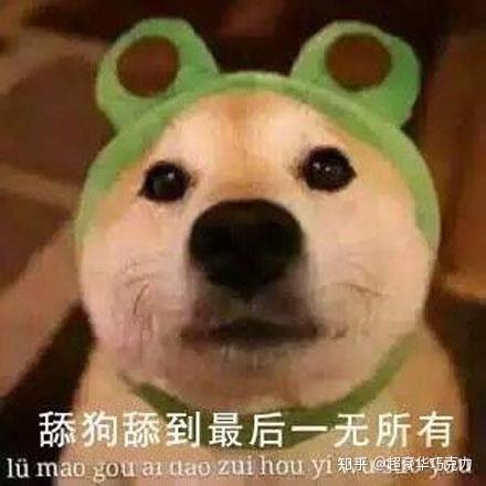 作为一个gay,舔狗是种怎样的体验?