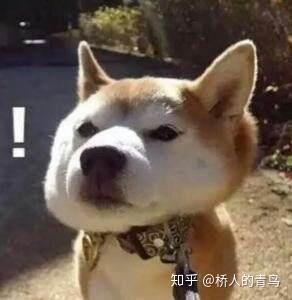 真让人头大