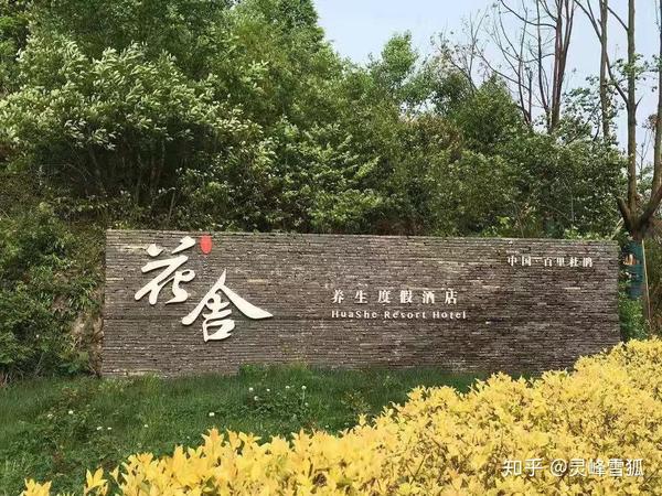 藏不住了,百里杜鹃最美民宿被曝光 花young旅途 昨天