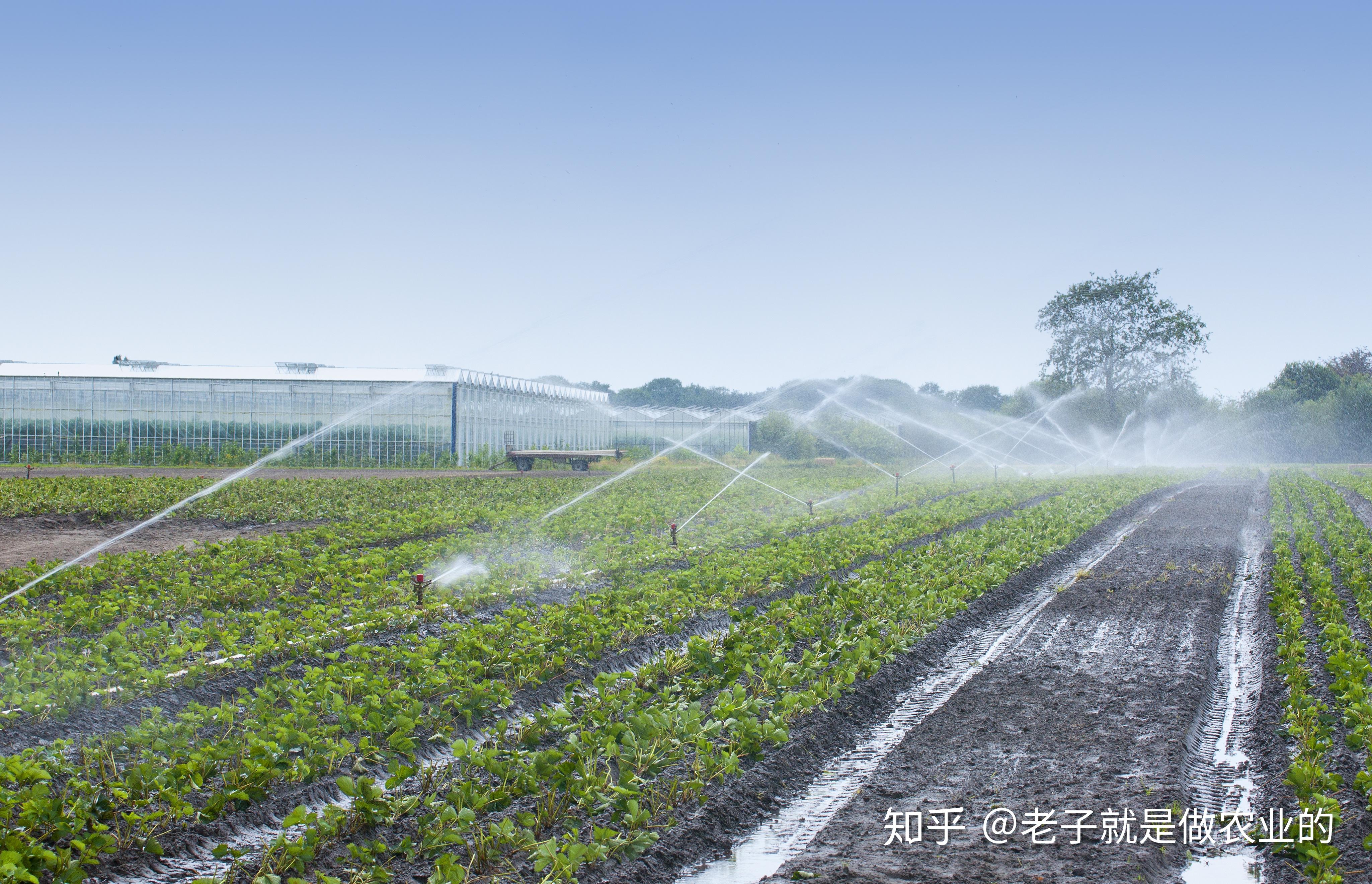 新型智能灌溉系统比以色列滴灌更节水