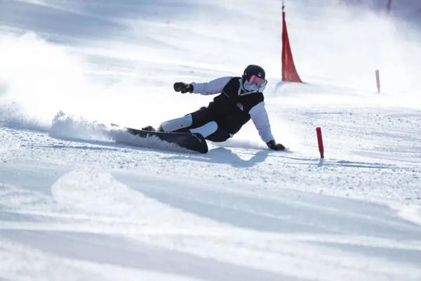 火爆什么是冬奥会里自由式滑雪障碍追逐