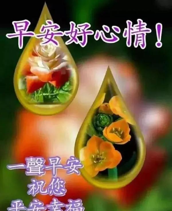 2021年微信最新早安祝福语大全,微信群发朋友圈暖心祝福语