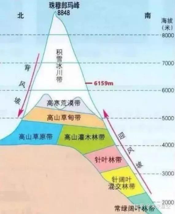 垂直地看,珠峰分为下图中所示的几个自然带.