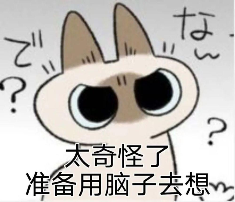 有没有类似太坏了猫的表情包