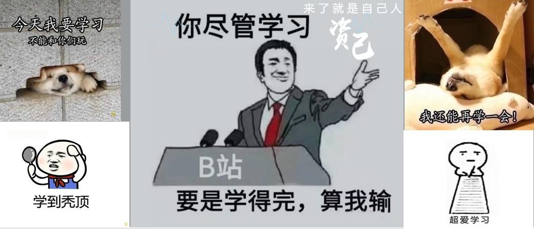 学编程头秃的你一定不能错过!基础教材,网课推荐~文末有福利