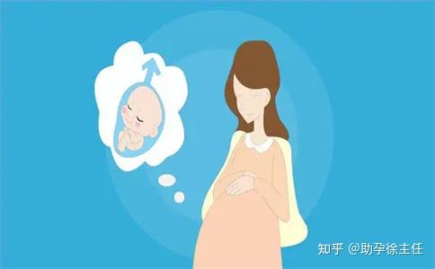 备孕中要注意哪一方面才更容易生女孩