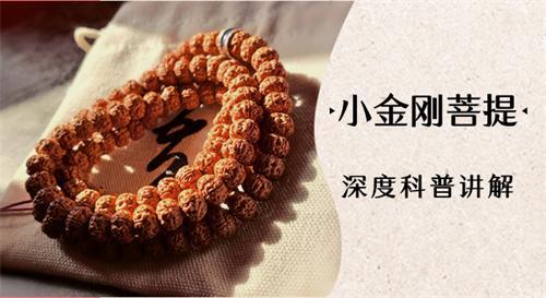 为什么金刚菩提密度很重要,选不好甚至会影响包浆