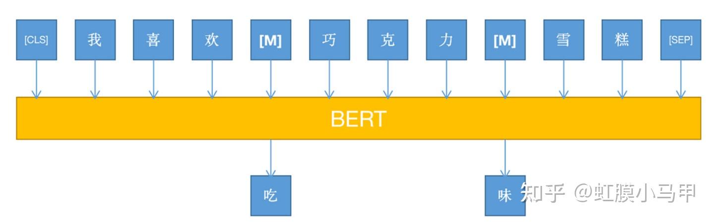 使用bert构建文本分类模型