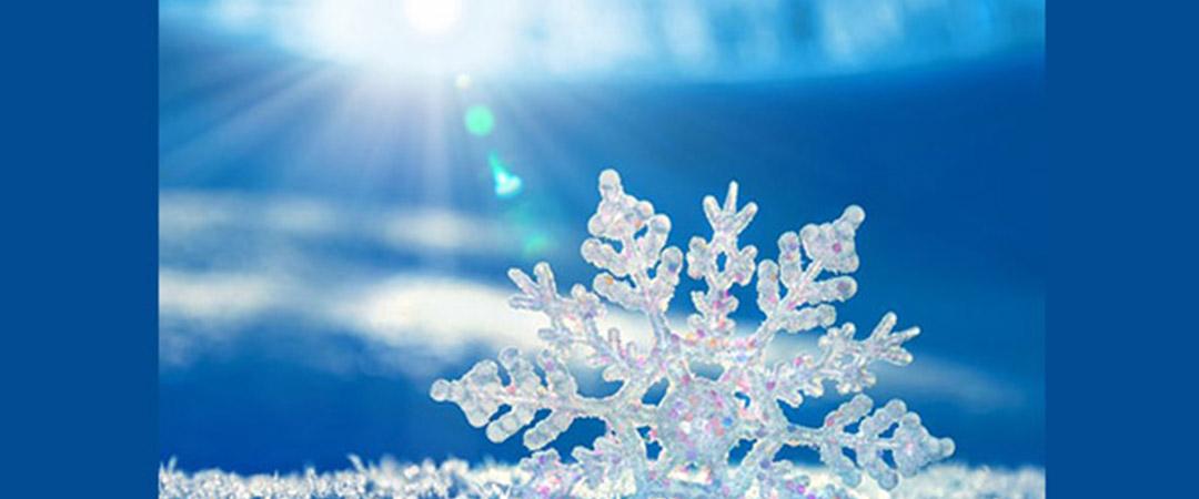网站雪花飘落特效