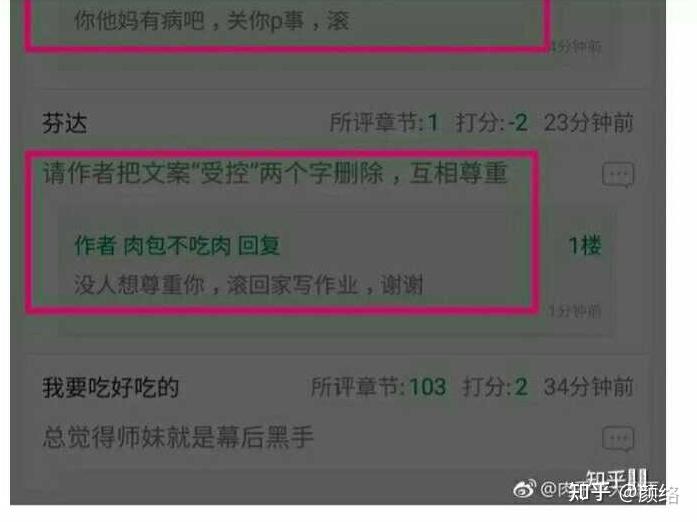 如何评价晋江作者肉包不吃肉