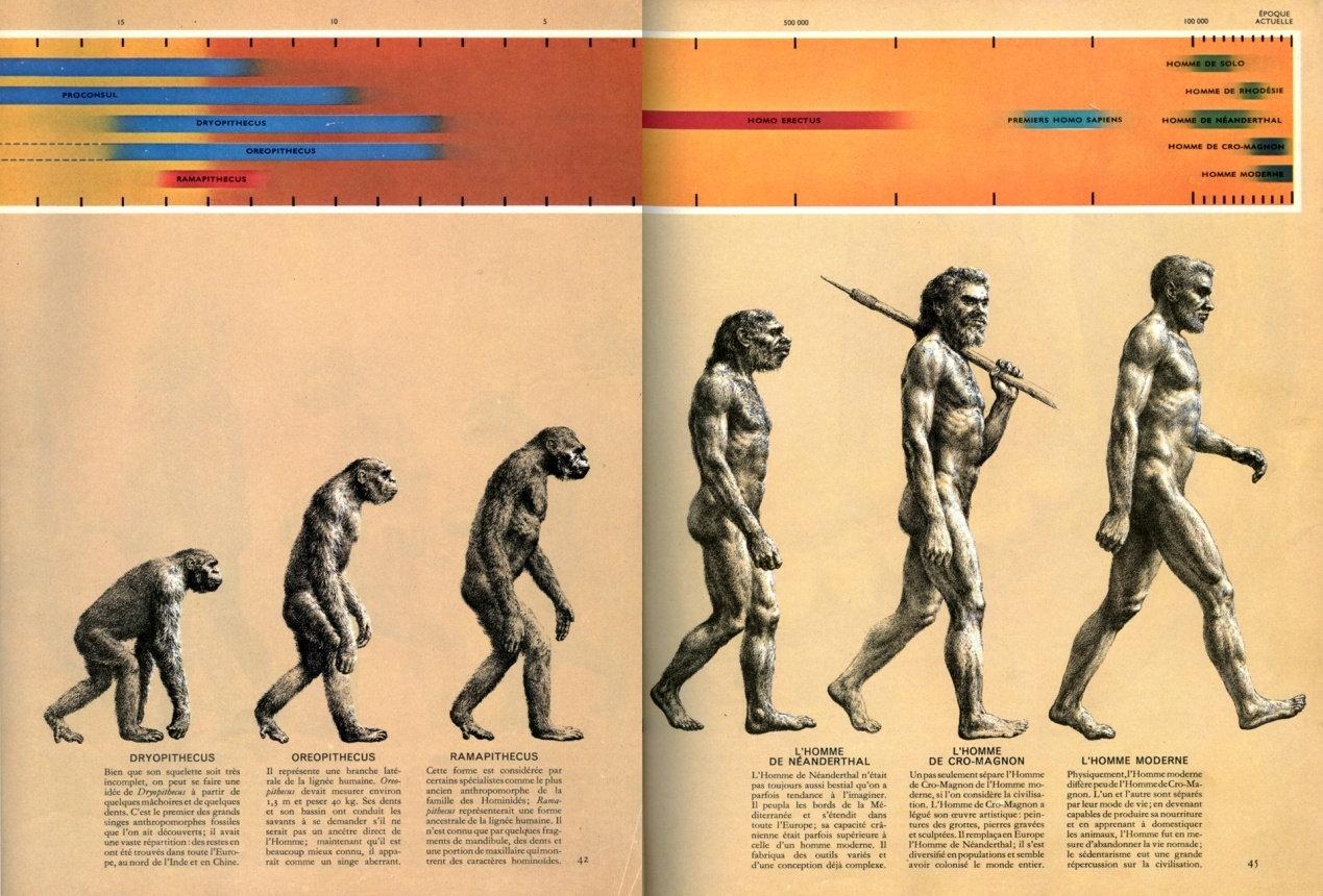 10万年后的人类是什么样子?