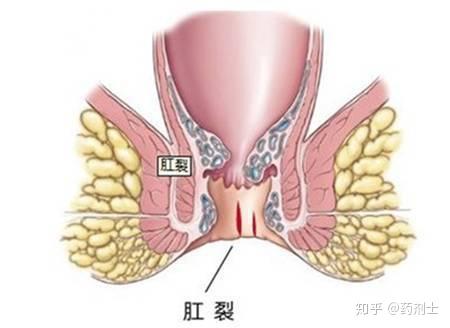 zhuanlan.zhihu.com