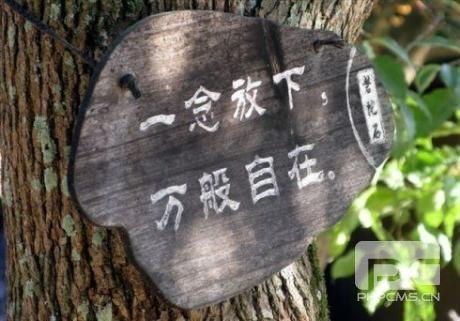 被劈腿被出轨被离婚后女人如何自救四放下仇恨关注自己