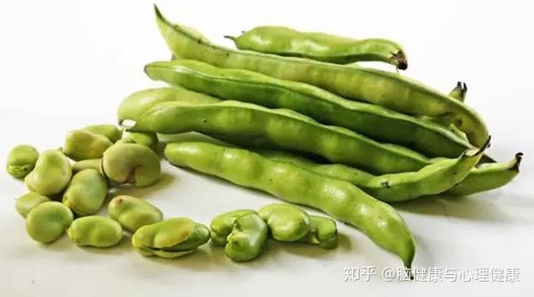 10,蚕豆:一斤蚕豆也差不多足够每天的需求的50.