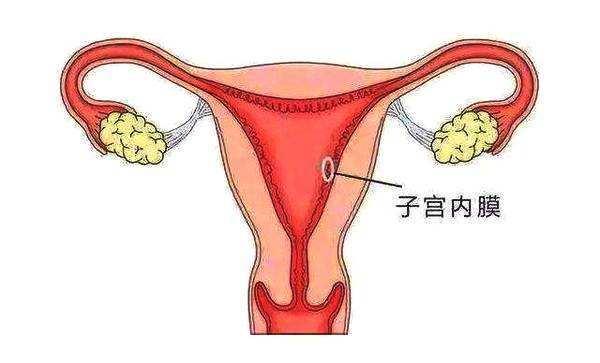 子宫内膜太厚太薄都不利于怀孕正常的厚度是多少