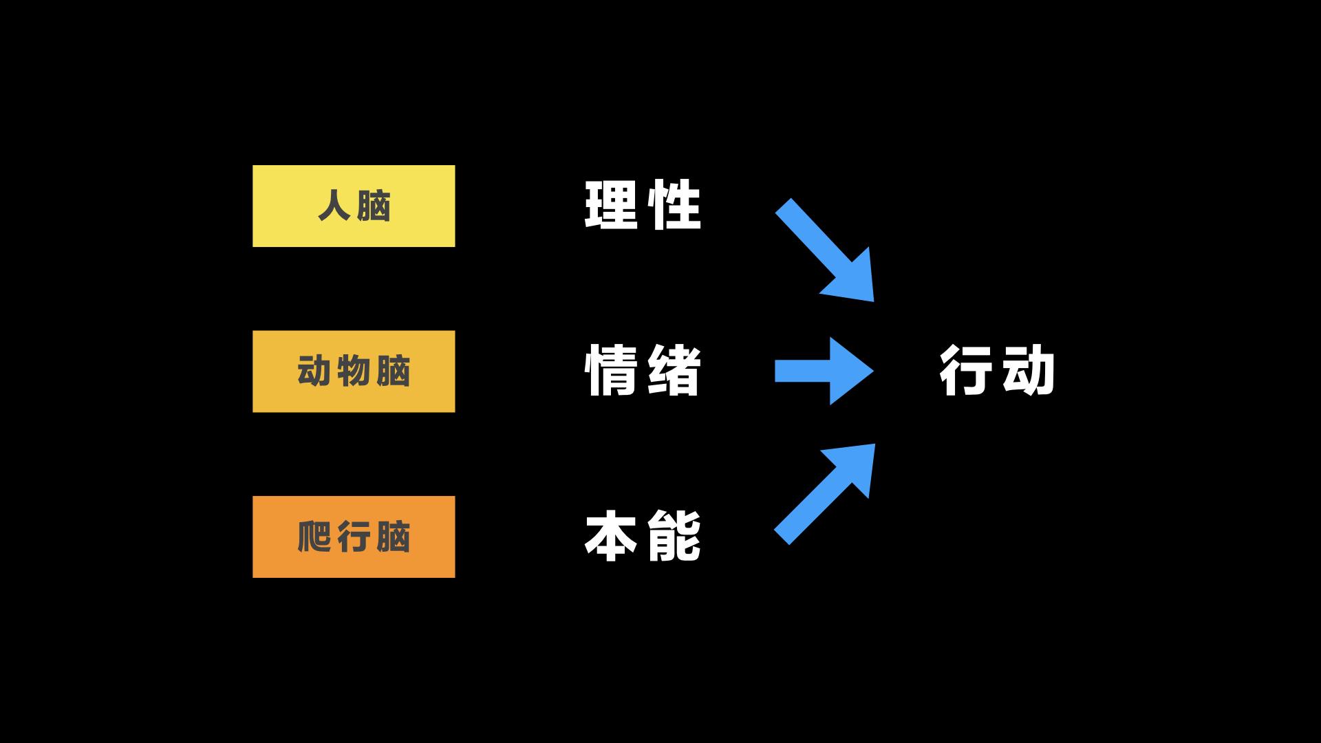 着我们的『本能;中间层是『哺乳动物脑,它影响着我们的『情绪』