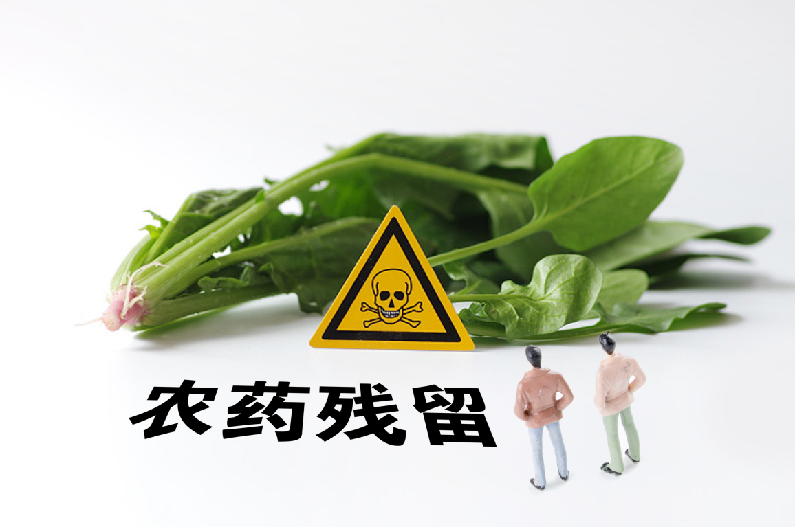 食品的农药污染的问题,你知多少?