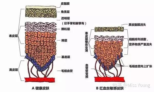 这张千禧辣妹脸到底有多特别可以被众多大佬偏爱到这种程度