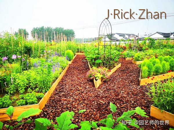 蔬菜花园,将重新定义可食用景观(收获篇)
