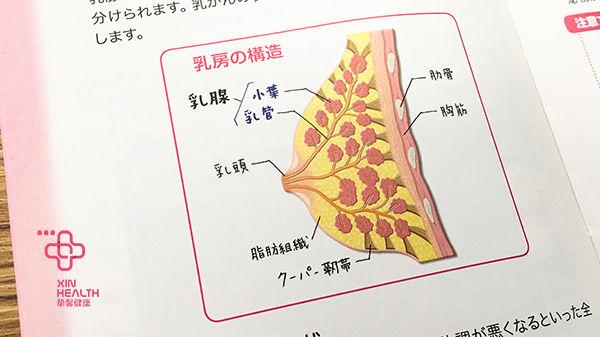 乳腺增生到底是怎么一回事?