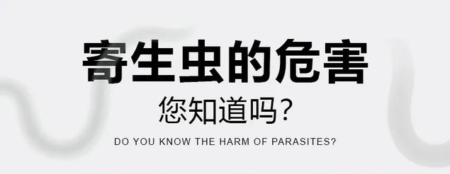 宠物一定要定期驱虫驱虫驱虫重要的事情说三遍