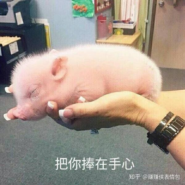 热门表情包图片我要把你捧在手心