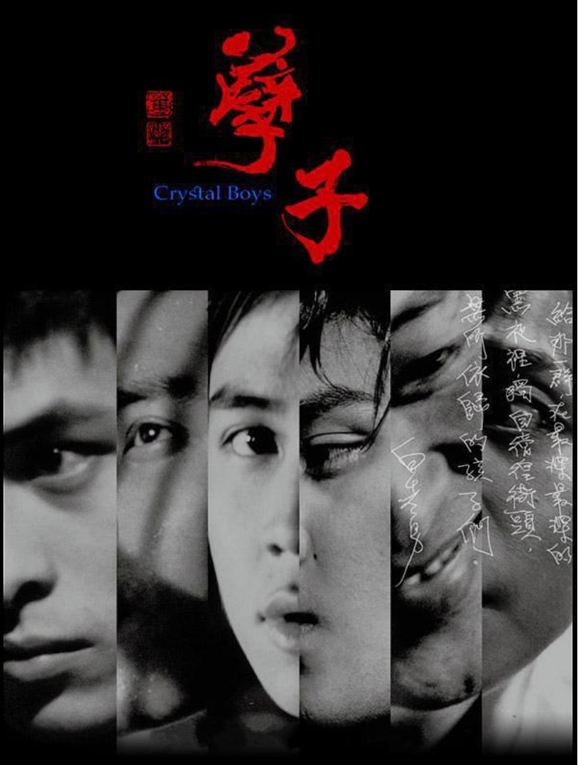 寻根的青春鸟读白先勇先生的小说孽子