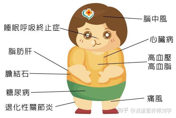 二,能量过剩≠营养过剩