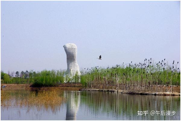 你能看到 在这里,你能亲身领略到 "灞柳风雪","泾渭分明"的魅力 湿地