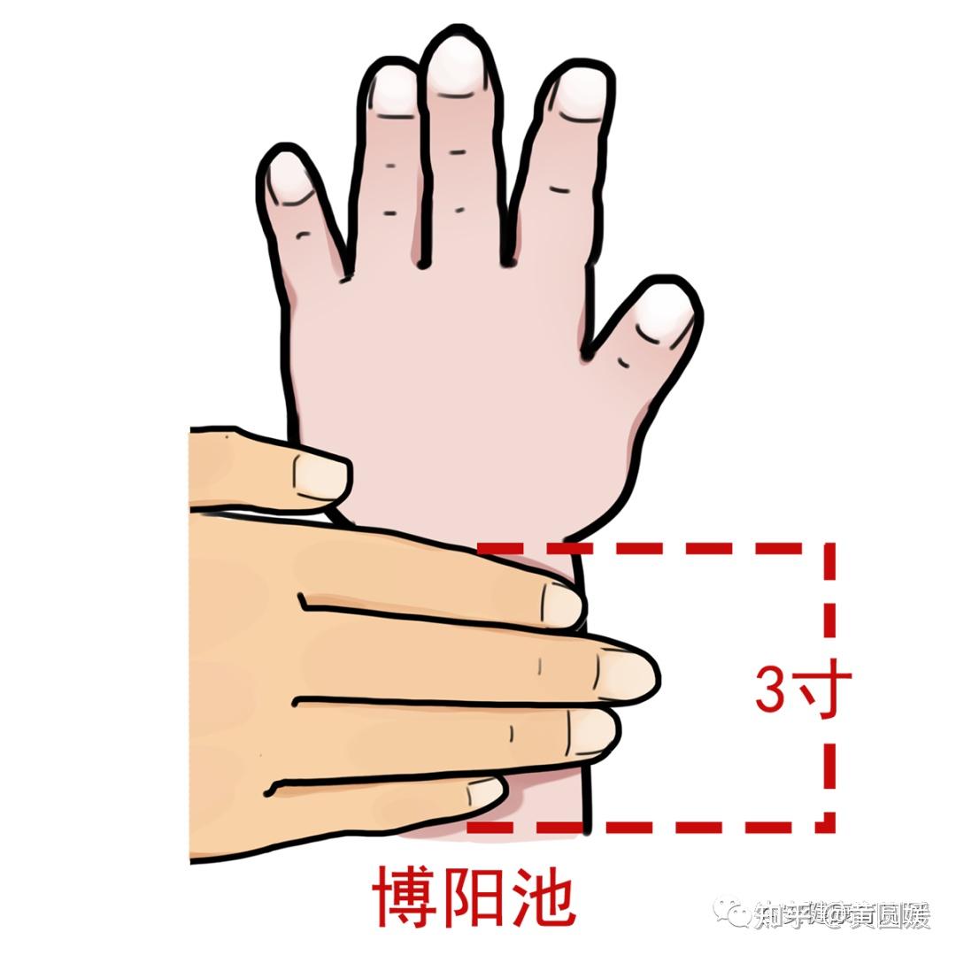 第一个穴位是膊阳池今天主要给大家讲一讲:小孩子便秘或积食可以用的