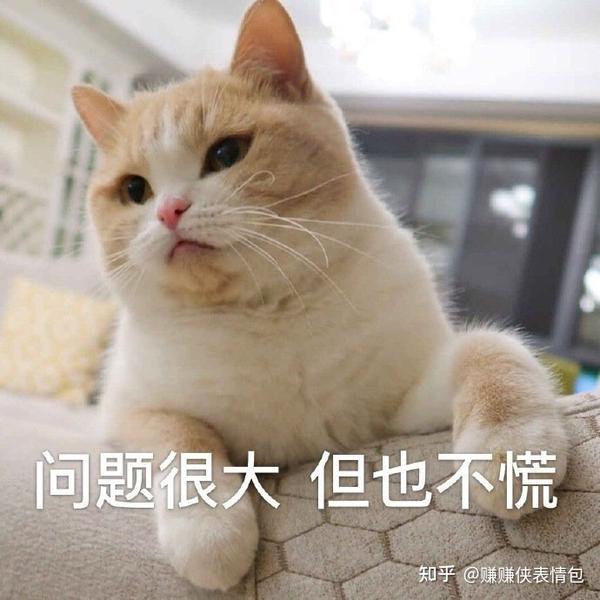 最新表情包图片:过来啵一个