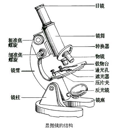 显微镜的结构图成像原理及常见故障排除