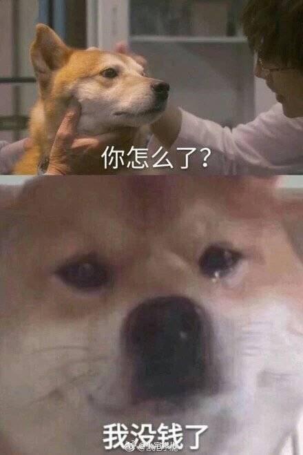作为一位沙雕表情包的狂热爱好者,是时候亮出我的库存了 多图预警